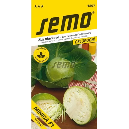 Kapusta biela skorá Minica