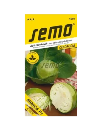 Kapusta biela skorá Minica