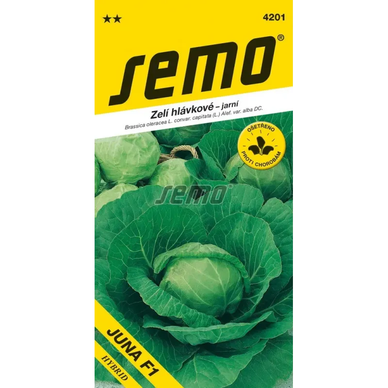 Kapusta biela skorá Juna F1