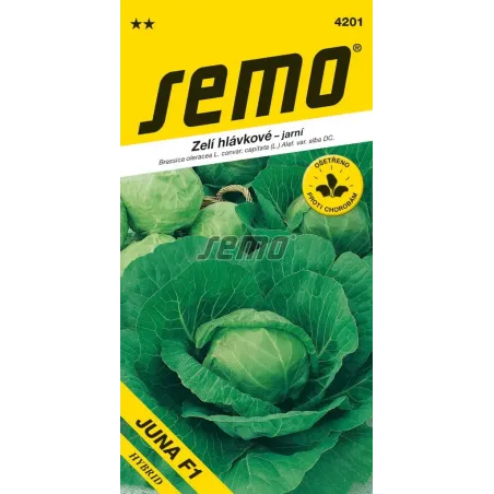Kapusta biela skorá Juna F1