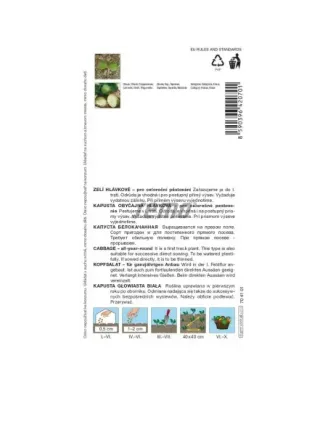 Kapusta biela skorá Minica