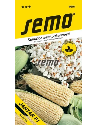 Kukurica pukancová Jantar F1