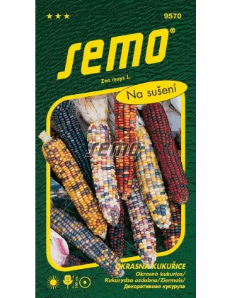 Kukurica okrasná Multicolor