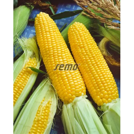 Kukurica cukrová Adika F1