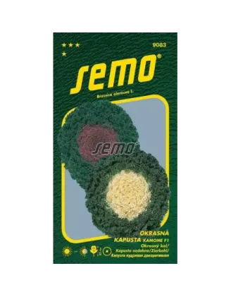 Kel okrasný Kamome F1 mix
