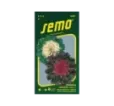 Kel okrasný Coral F1 mix