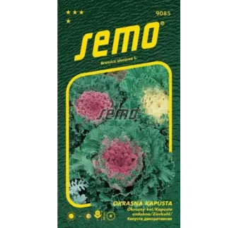 Kel okrasný Zmes farieb
