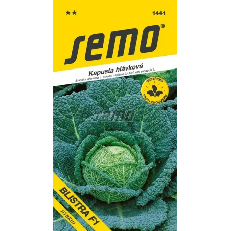 Kel neskorý Blistra F1