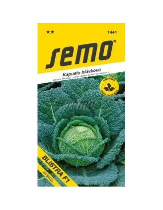 Kel neskorý Blistra F1