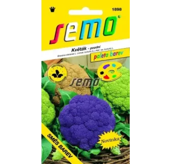 Karfiol leto jesen Zmes farieb