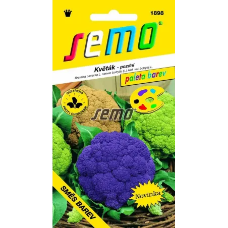 Karfiol leto jesen Zmes farieb