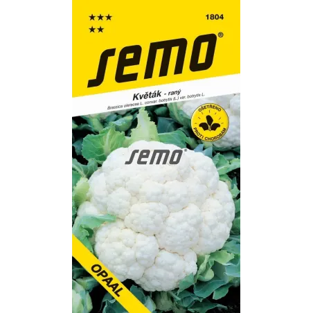 Karfiol jarný Opaal