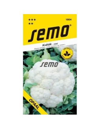 Karfiol jarný Opaal
