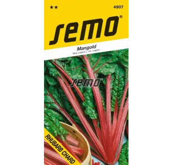 Mangold Rhubarb Chard