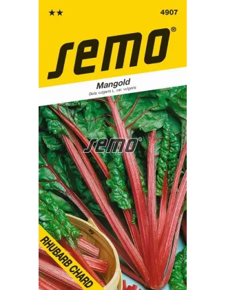 Mangold Rhubarb Chard