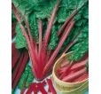 Mangold Rhubarb Chard Mangold Rhubarb Chard