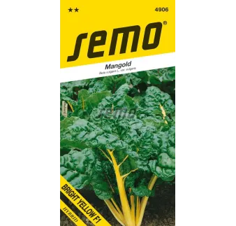 Mangold Bright yelow F1