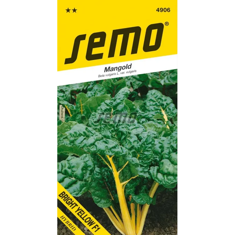 Mangold Bright yelow F1 Mangold Bright yelow F1