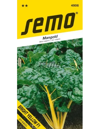 Mangold Bright yelow F1