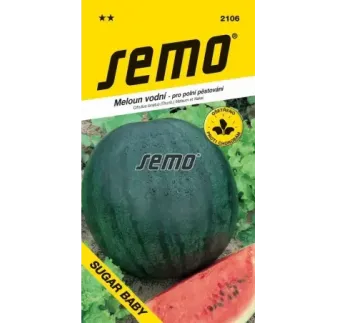 Melón Sugar baby vodový