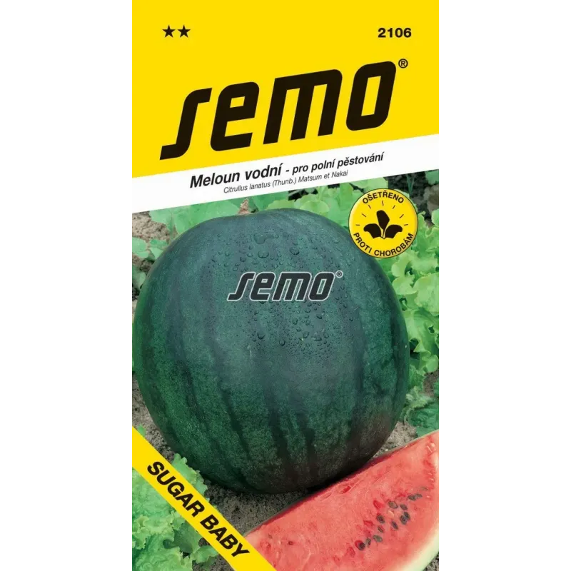 Melón Sugar baby vodový