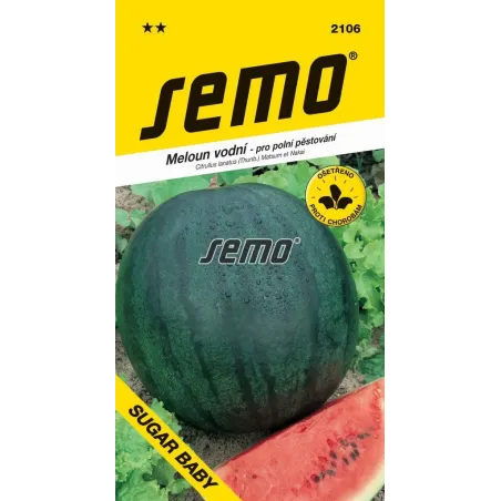 Melón Sugar baby vodový