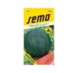 Melón Sugar baby vodový
