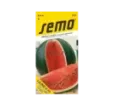 Melón Lajko F1