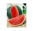 Melón Lajko F1