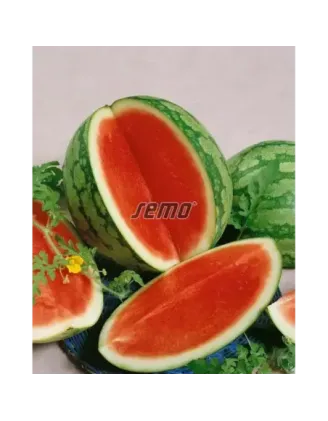 Melón Granát vodový