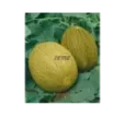 Melón Ananas cukrový