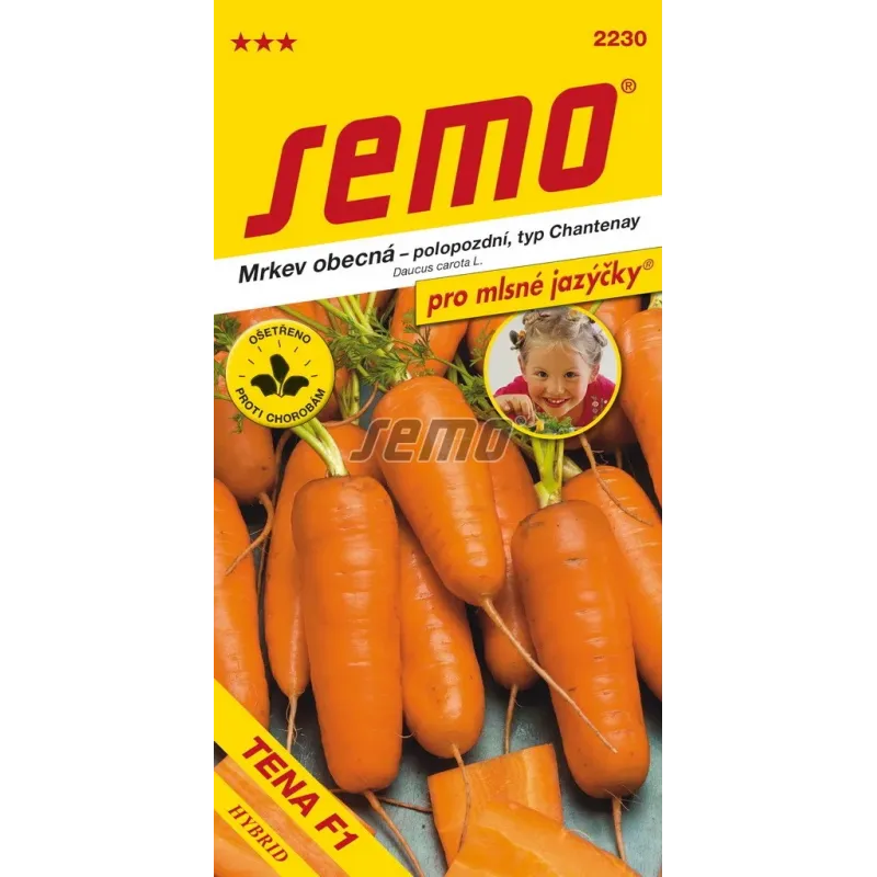 Mrkva poloneskorá Tena