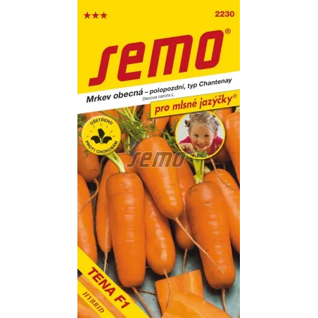 Mrkva poloneskorá Tena