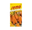 Mrkva poloneskorá Tena