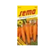 Mrkva poloneskorá Korada
