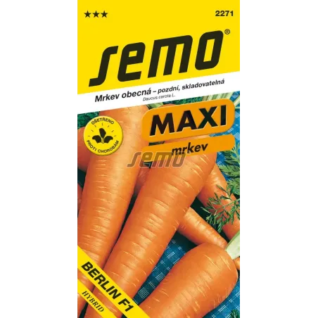 Mrkva neskorá Maxima Berlin