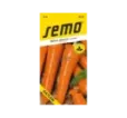Mrkva neskorá Katlen
