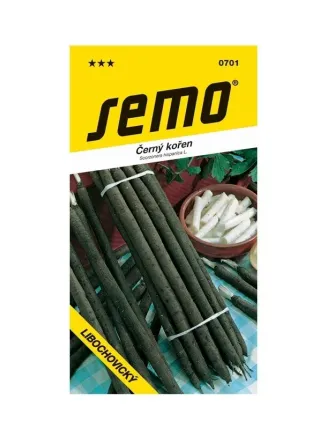 Čierny koreň libochovický
