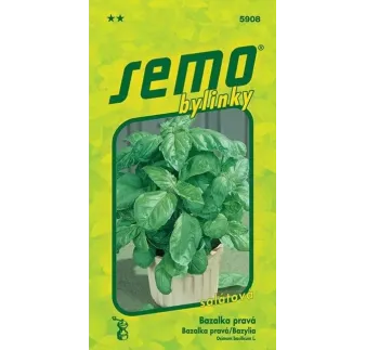 Bazalka pravá Lettuce Leaf