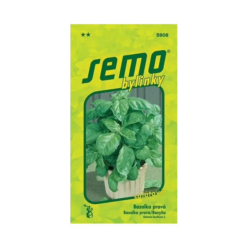 Bazalka pravá Lettuce Leaf Bazalka pravá Lettuce Leaf