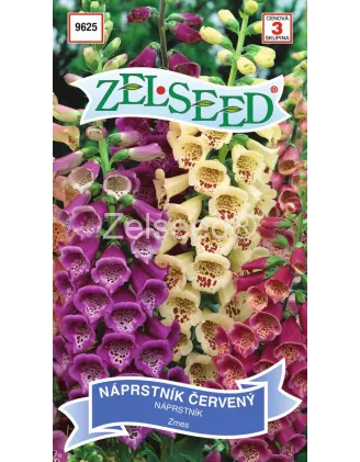 Náprstník červený purpurový