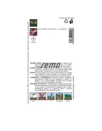Klinček zmes čínsky