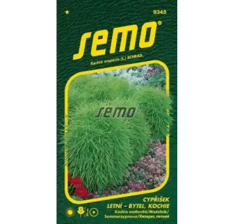 Cypruštek kochia metlovitá
