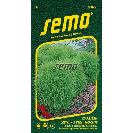 Cypruštek kochia metlovitá