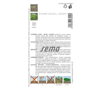 Cypruštek kochia metlovitá