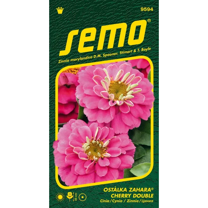 Cínia Zahara Cherry double