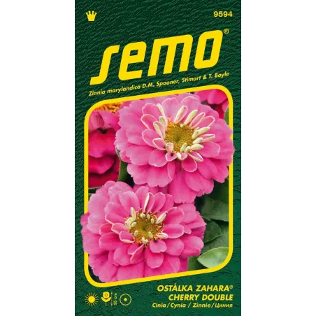 Cínia Zahara Cherry double