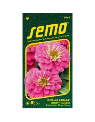 Cínia Zahara Cherry double