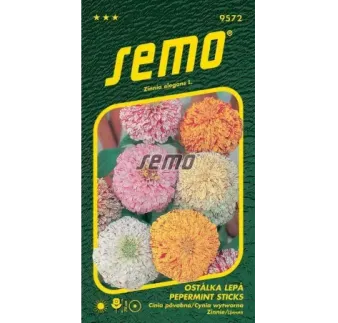 Cínia pepermint sticks