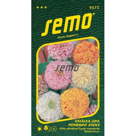 Cínia pepermint sticks